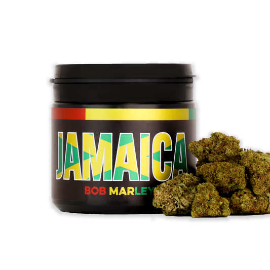 Natūralūs kanapių žiedai Jamaica BOB MARLEY CBD džiovintos kanapės 30% Hempoaze